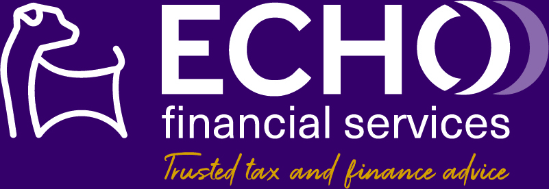 Echo Financial Services logo